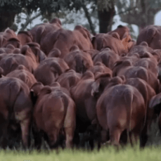 Screenshot 2025-10-14 at 2.31.59 PM