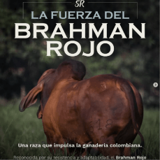 Screenshot 2025-10-14 at 2.32.13 PM