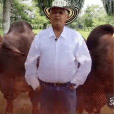 Screenshot 2025-10-14 at 2.32.18 PM