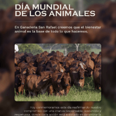 Screenshot 2025-10-14 at 2.32.31 PM